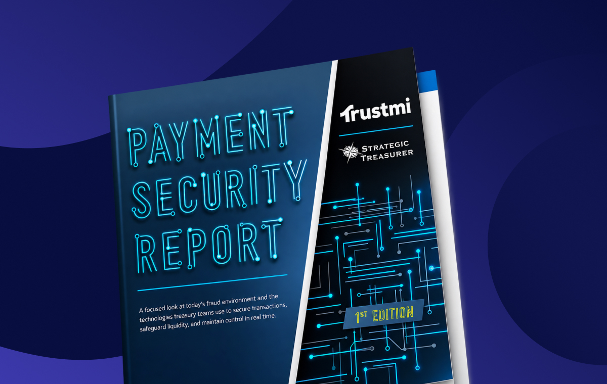 Payment Security Report Strategic Treasurer